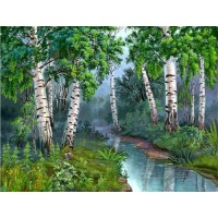 Брезова гора - Комплект за рисуване по номера ZG 3449