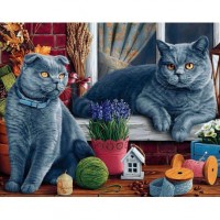 Британски  котки - Диамантен гоблен - GI 405062