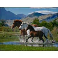 GI 304035 Диамантен гоблен - Планински коне