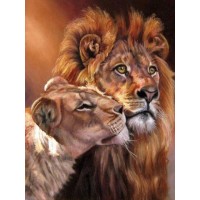 Двойка лъвове - Картина по номера ZG 7279