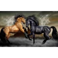 GI 304089  Диамантен гоблен -Красиви коне