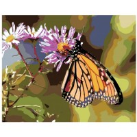 Картина по номера - Пеперуда ZG 0209