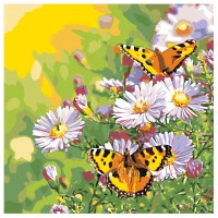 Картина по номера - Пеперуда и маргаритки ZP 017
