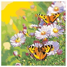 Картина по номера - Пеперуда и маргаритки ZP-017