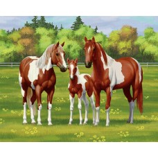 GI 304136 Диамантен гоблен - Семейство коне
