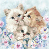 Три котки - Картина по номера ZG 5232