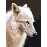 Бял вълк - Картина по номера ZE 5698