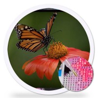 Диамантен гоблен с кръгла форма - Пеперуда и червено цвете DRL 02