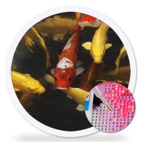 Диамантен гоблен с кръгла форма - Риби DRL 07