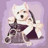 Картина по номера - Модно кученце ZP 135