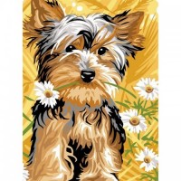Куче и маргаритки - Картина по номера - ZG 5256