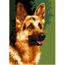 Овчарско куче - Картина по номера CX 3615