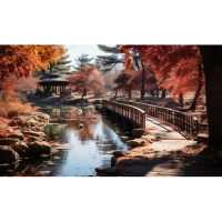 Есен в парка - Картина по номера ZG 10763