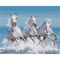 Бели коне - Картина по номера ZG 10847