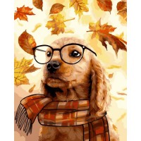 Картина по номера - Куче с очила ZE 3759