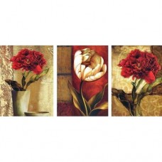 Прекрасни цветя - Триптих - Картина по номера PG 028