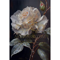 Прекрасна роза - Картина по номера ZG 10083