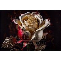 Уникална роза - Картина по номера ZG 10087